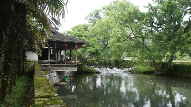 dsc09119.jpg