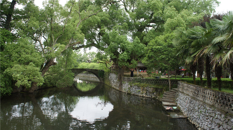 dsc09125.jpg
