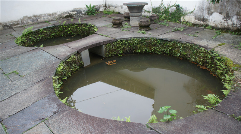 dsc09172.jpg