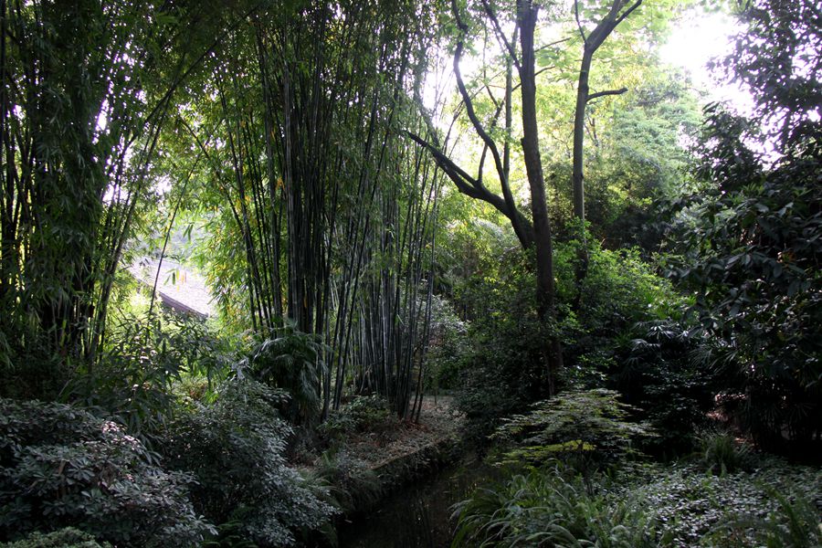 cs 1296_.jpg
