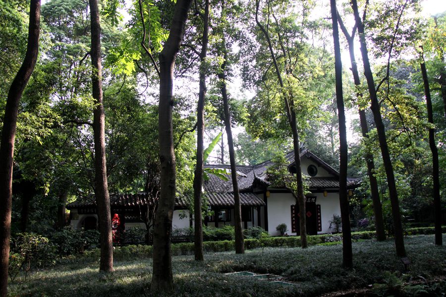 cs 1309_.jpg