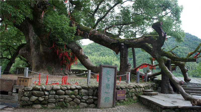 dsc09101.jpg