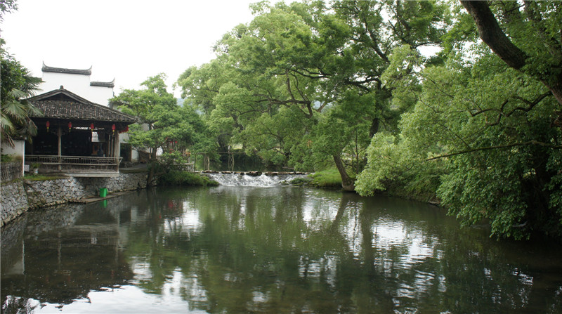 dsc09117.jpg