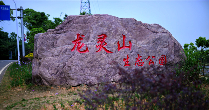 dsc_6037.jpg