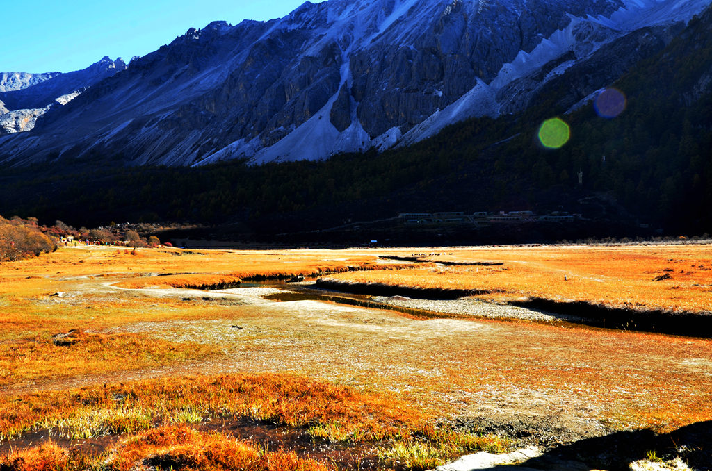 dsc_1504.jpg