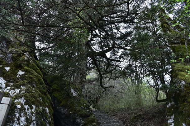 _dsc8472.jpg