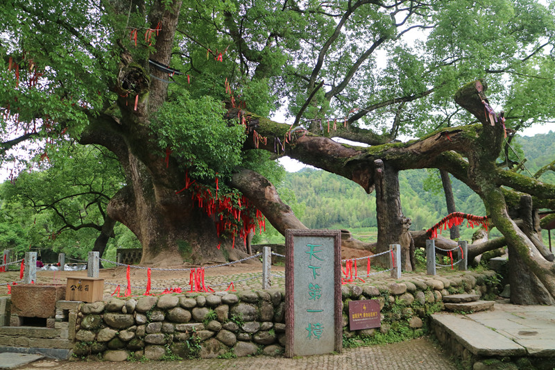 img_8099_副本.jpg