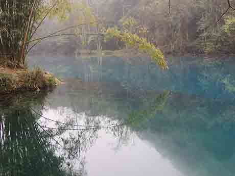 dscn5487.jpg