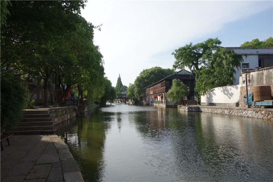 dsc00175.jpg