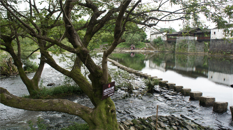 dsc09185.jpg