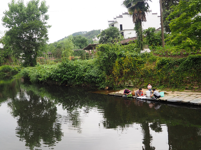 p5241264_.jpg