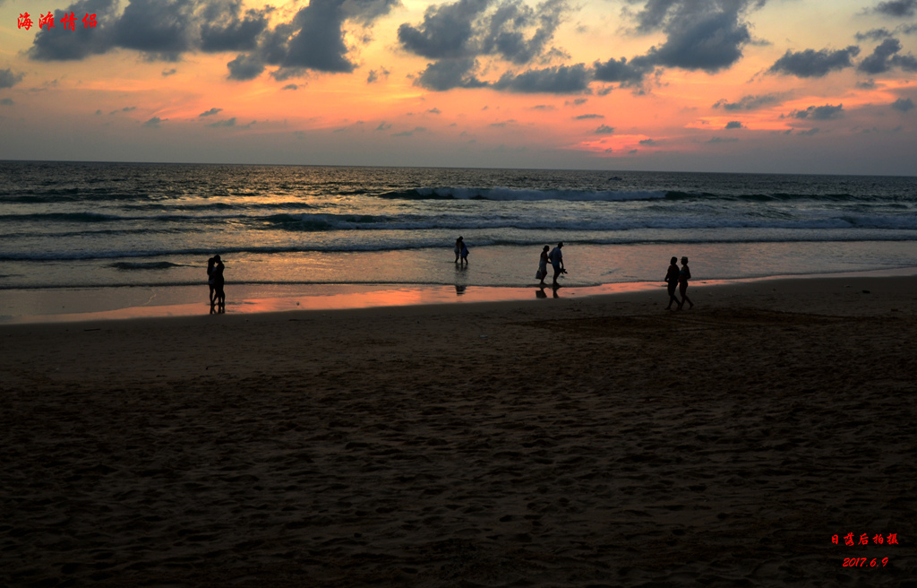 dsc_3746.jpg