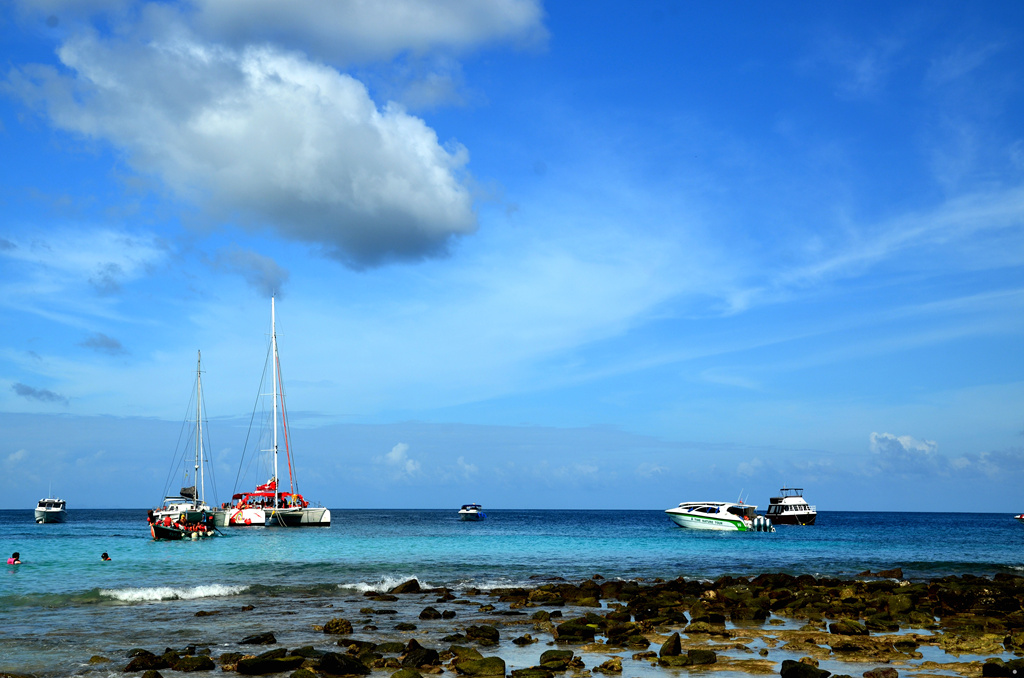 dsc_2034.jpg