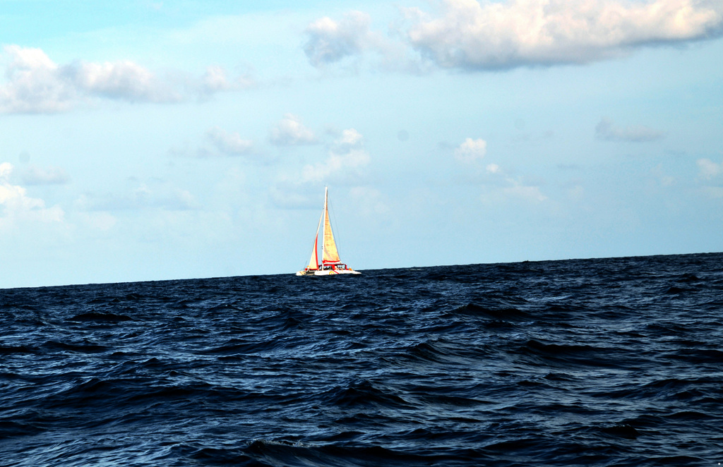 dsc_2227.jpg