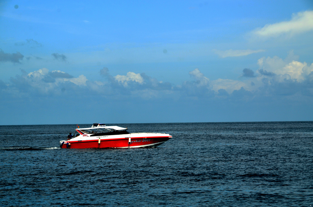 dsc_1764.jpg