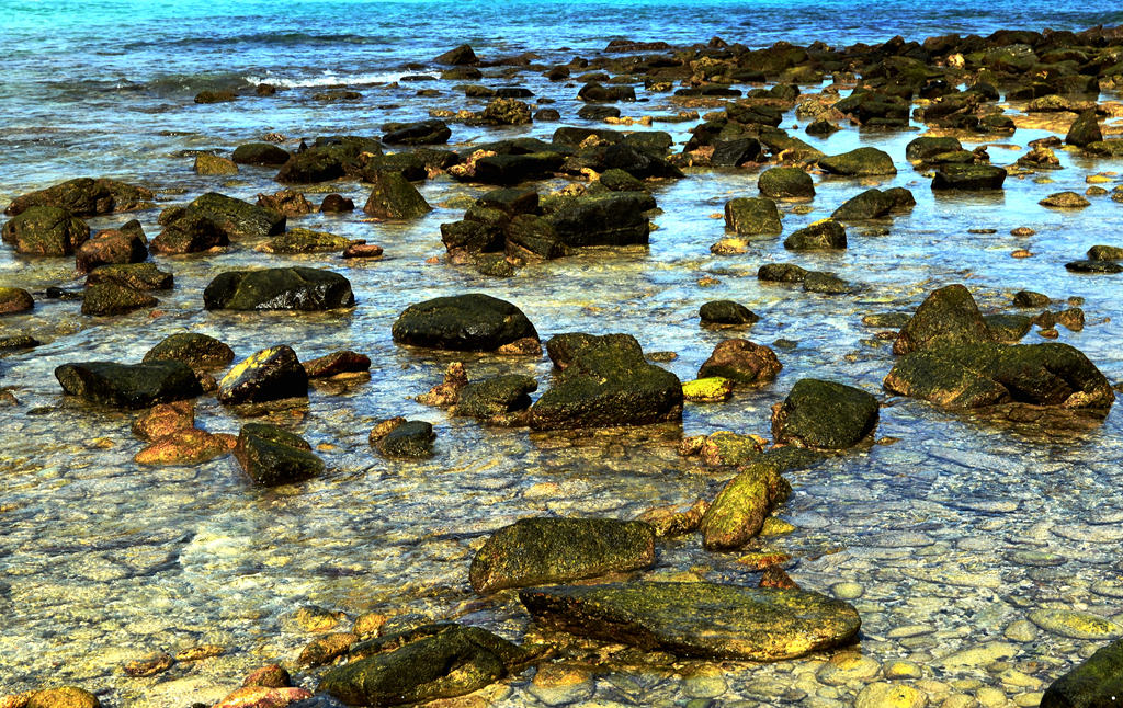 dsc_2046.jpg