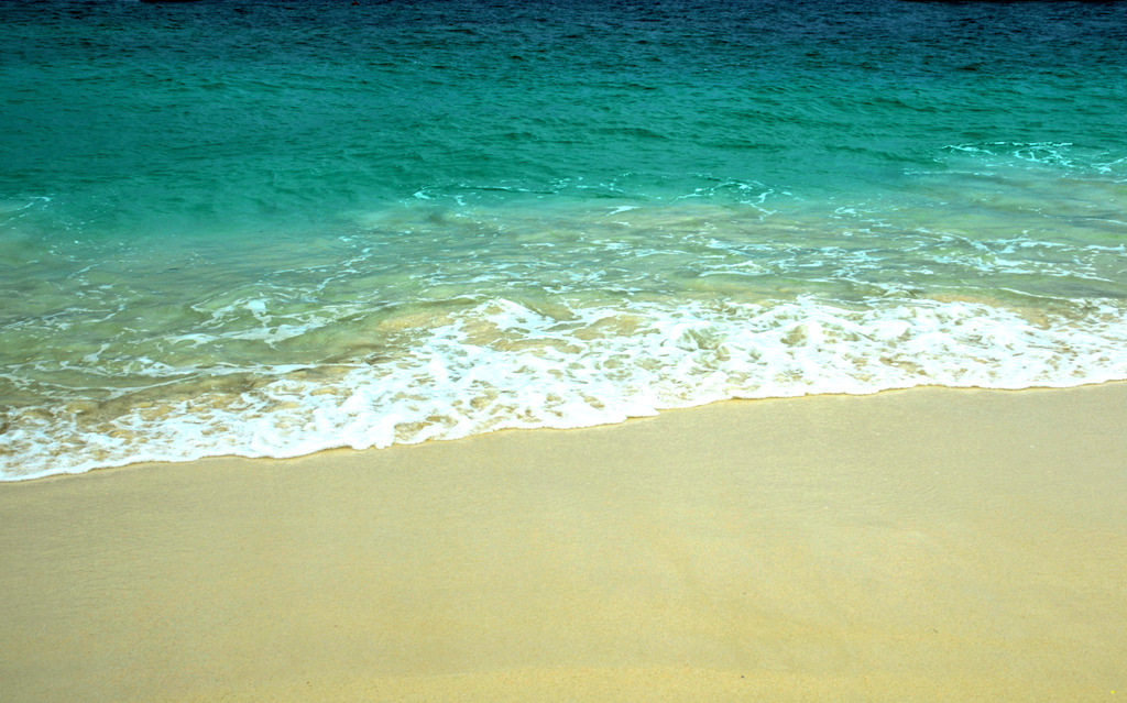 dsc_0094.jpg