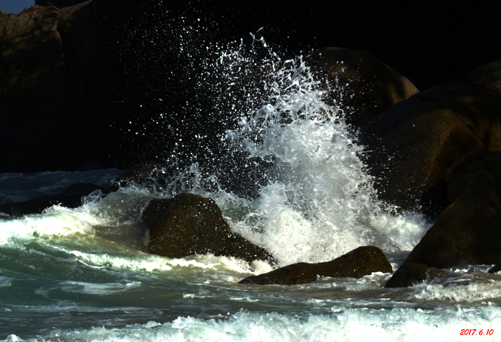 dsc_4499.jpg