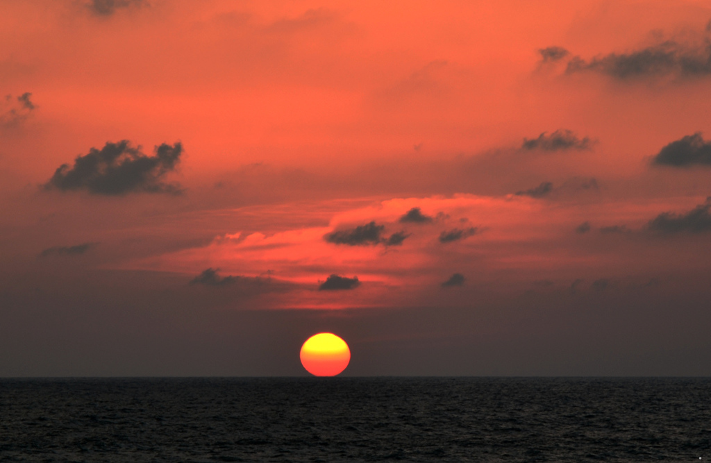 dsc_3701.jpg