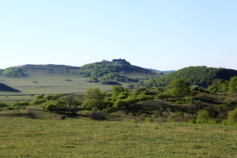 _mg_9733.jpg