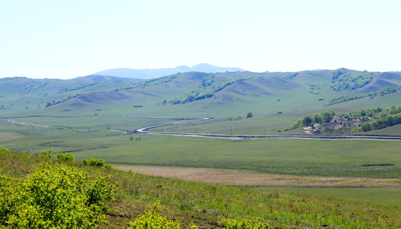 _mg_9816.jpg