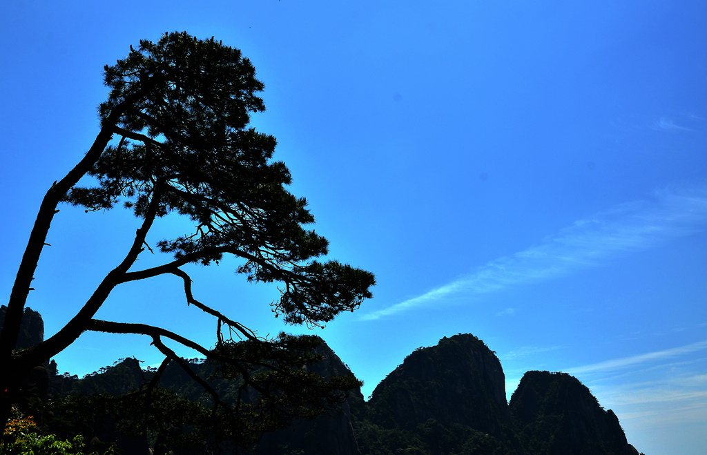 dsc_9677.jpg