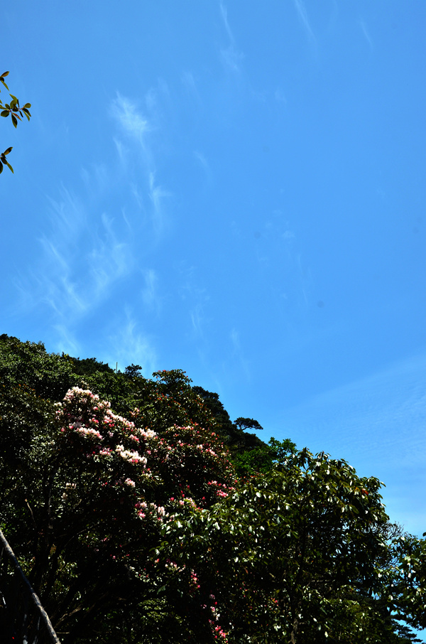 dsc_9687.jpg