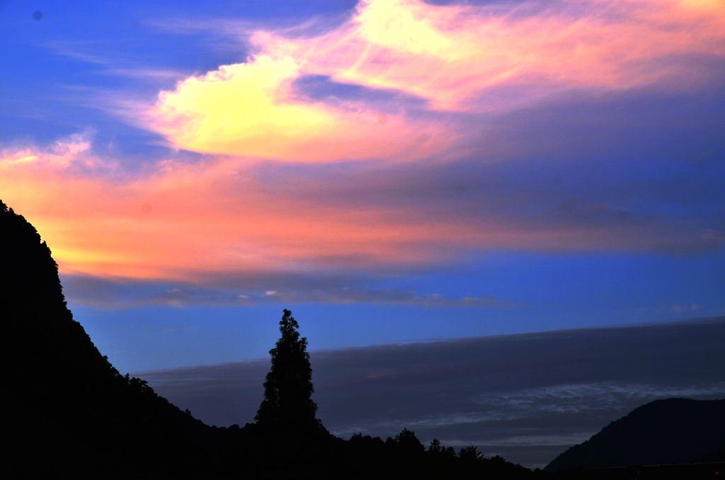 dsc_9519.jpg