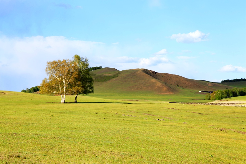 _mg_9947.jpg