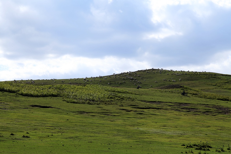 _mg_9913.jpg