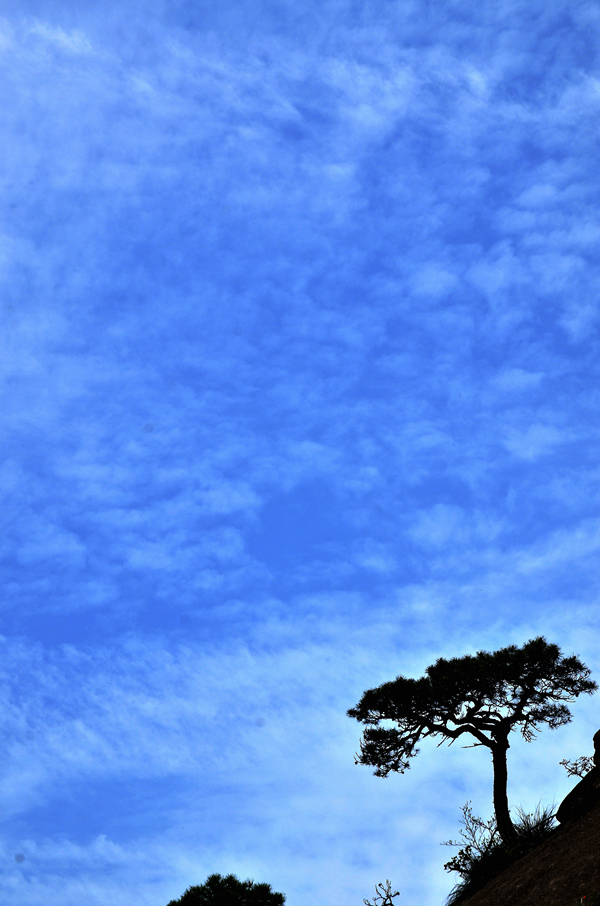 dsc_9775.jpg