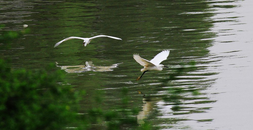 img_1030.jpg