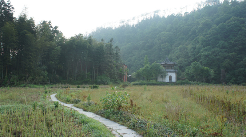 dsc09296.jpg