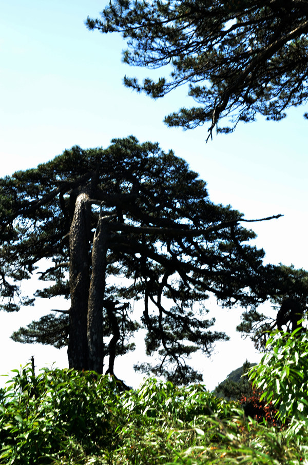 dsc_9615.jpg