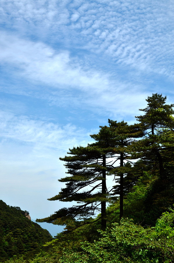 dsc_9766.jpg