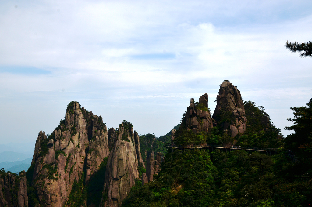 dsc_9866.jpg
