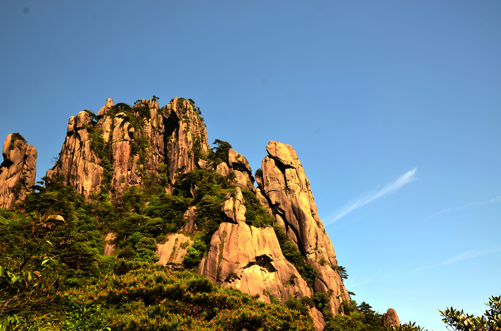 dsc_9586.jpg