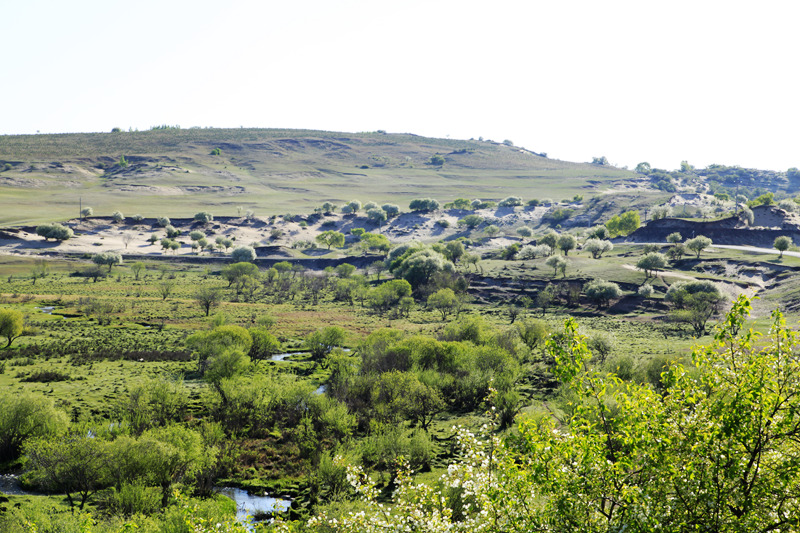 _mg_0736.jpg