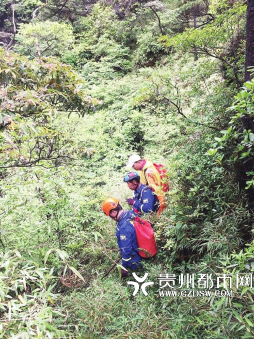 dvubb 按此在新窗口浏览图片