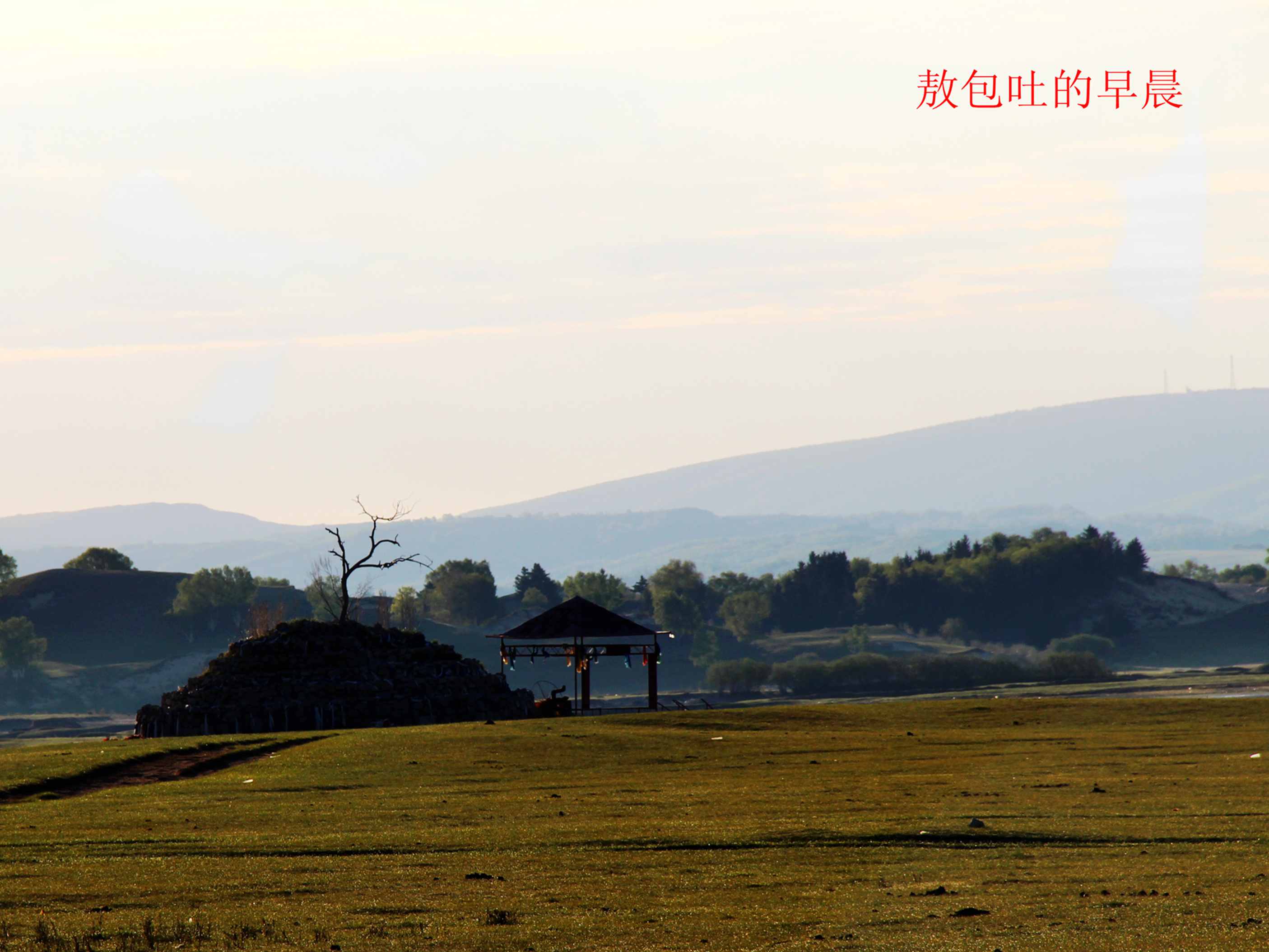 乌兰布统坝上行2017-5-18 770.jpg