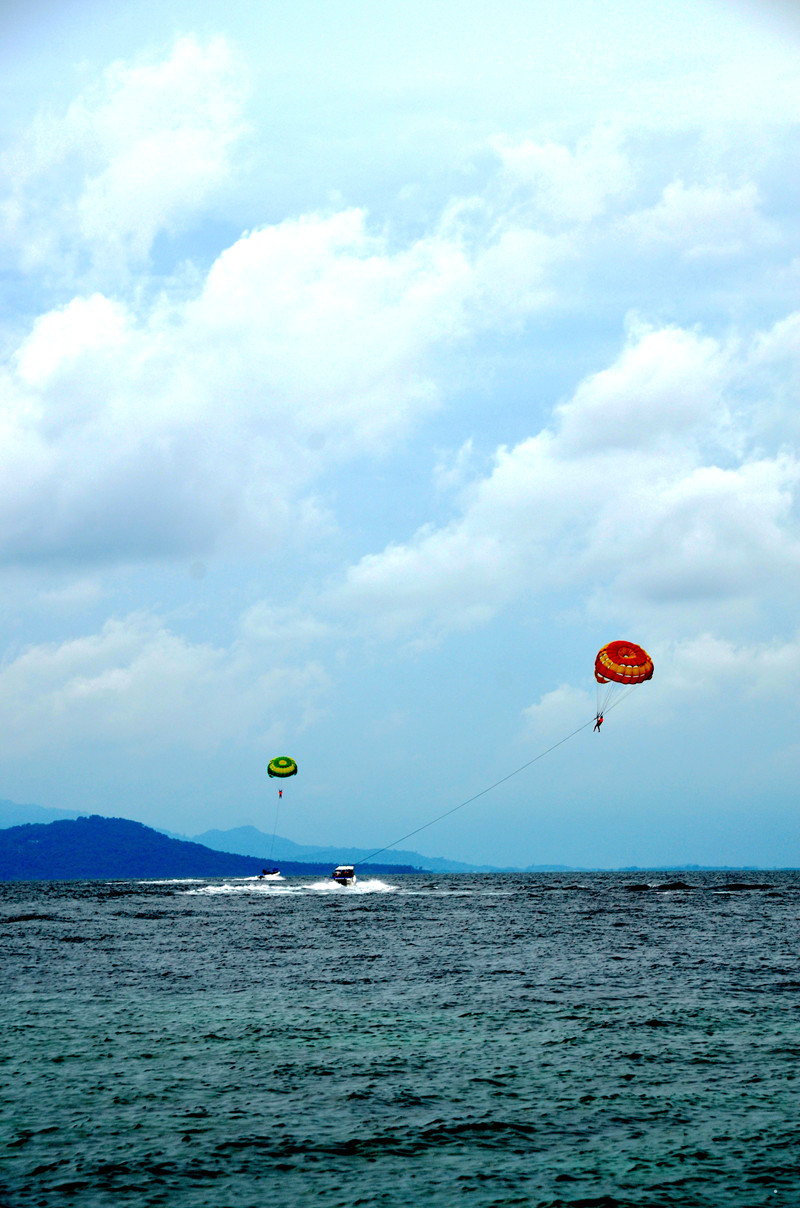 dsc_0311.jpg