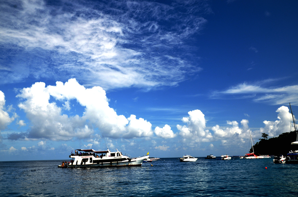 dsc_1831.jpg