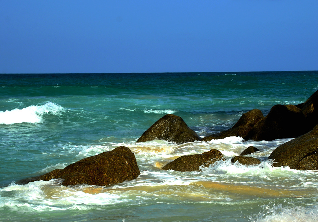dsc_4540.jpg