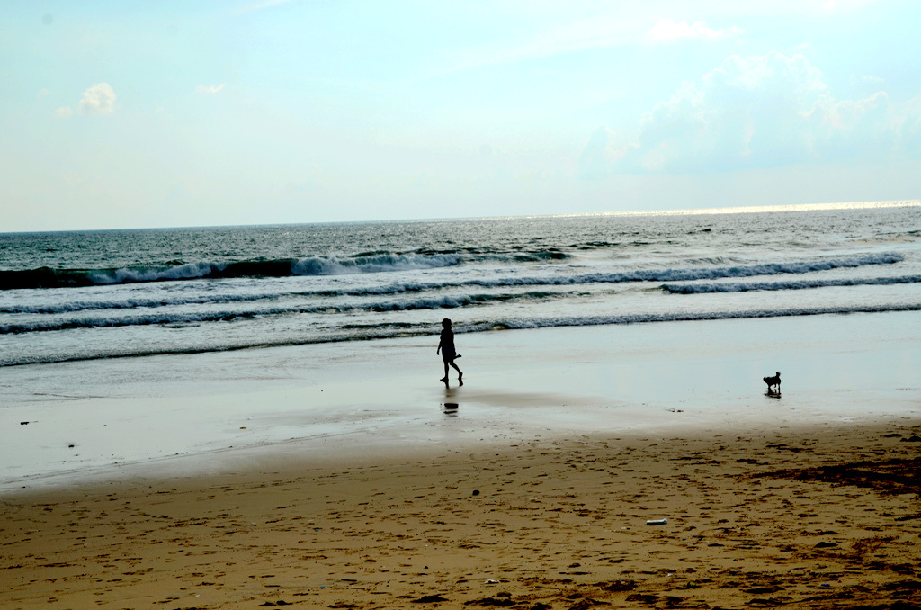 dsc_2963.jpg