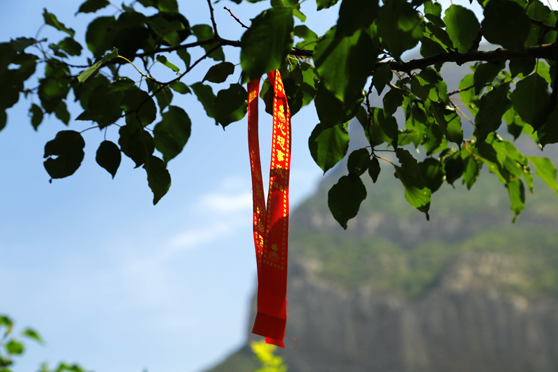 _mg_8153_.jpg