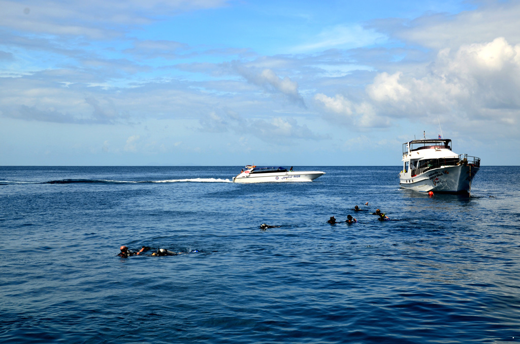 dsc_1838.jpg