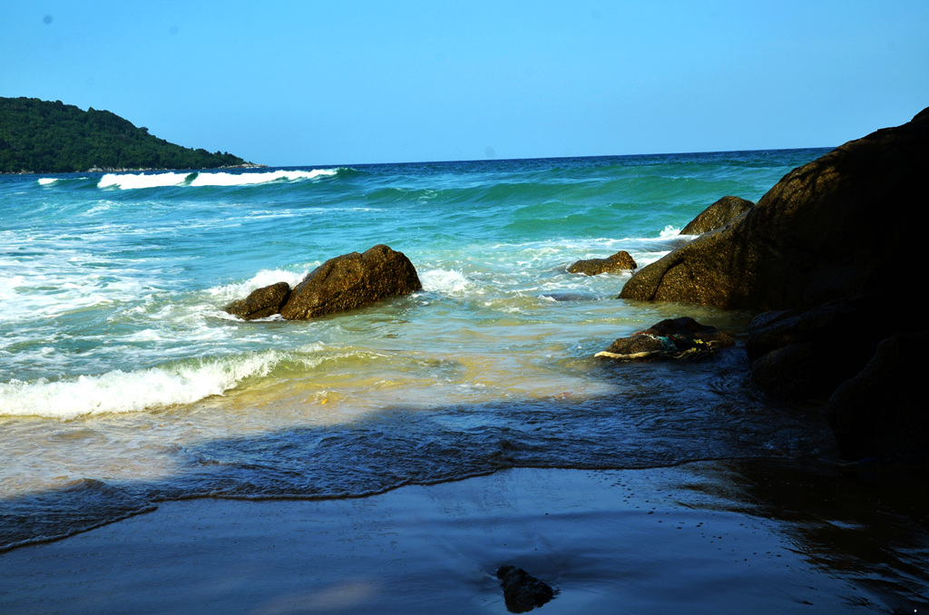 dsc_4520.jpg