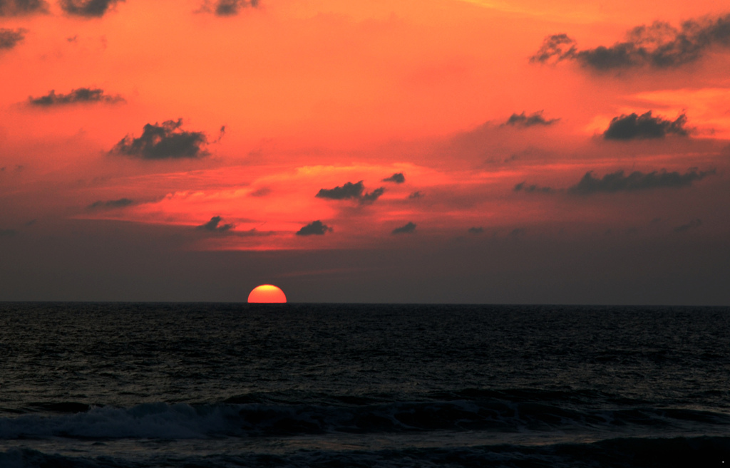 dsc_3723.jpg
