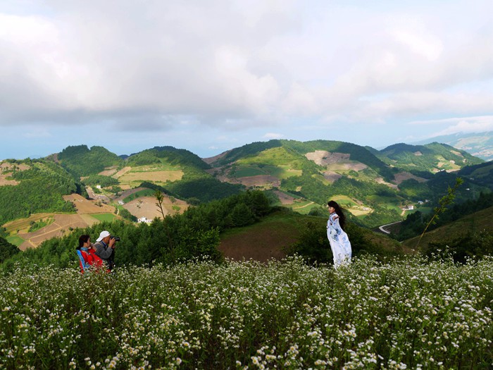 p1380906__.jpg