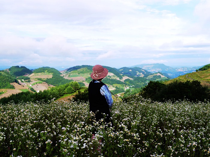 p1380926__.jpg